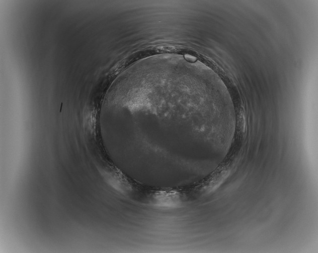 X0000116570271200912171510