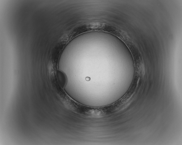 X0000116570272200912171510