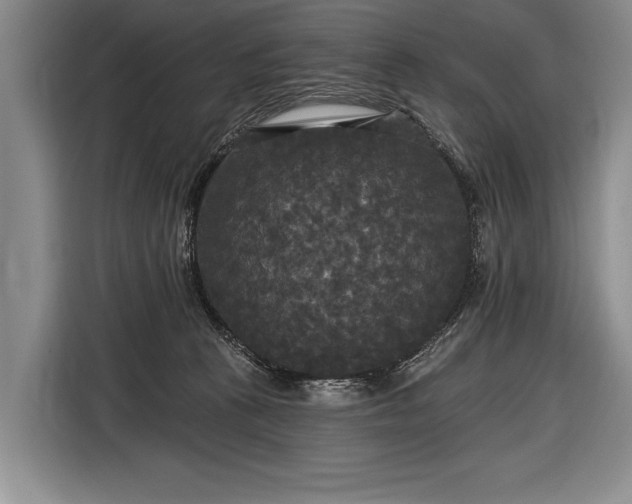 X0000116570273200912171510