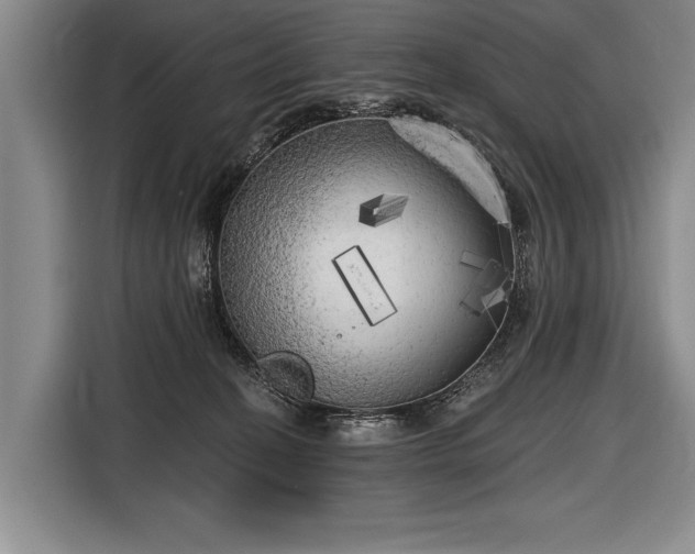 X0000116570274200912171510