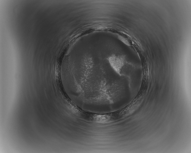 X0000116570277200912171510