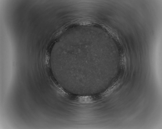 X0000116570281200912171510