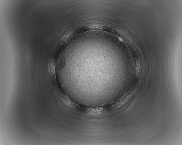 X0000116570282200912171510