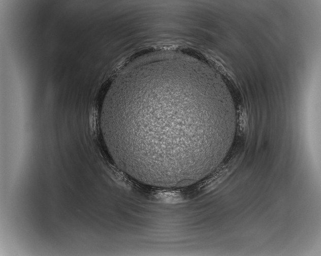 X0000116570283200912171510