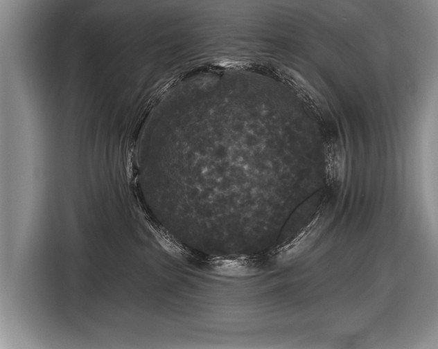 X0000116570285200912171510