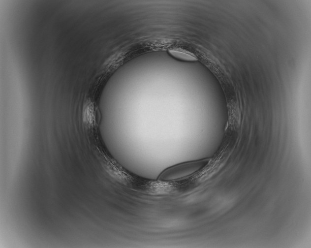 X0000116570287200912171510