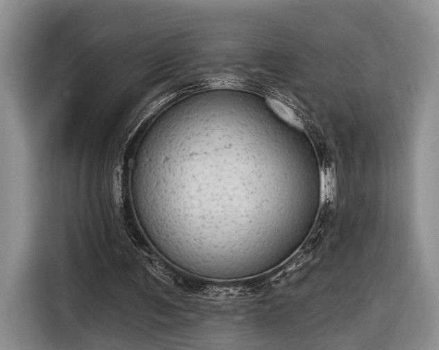 X0000116570291200912171509