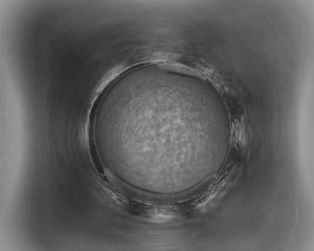 X0000116570292200912171509