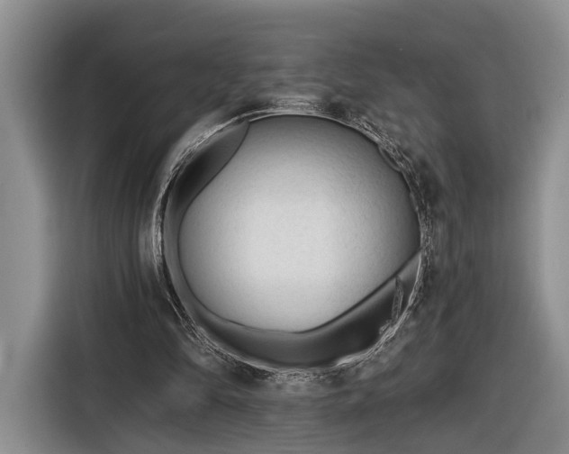 X0000116570294200912171509