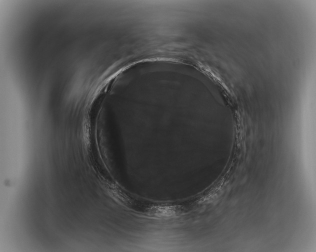 X0000116570295200912171509