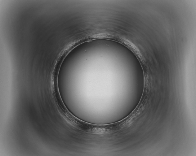 X0000116570298200912171509