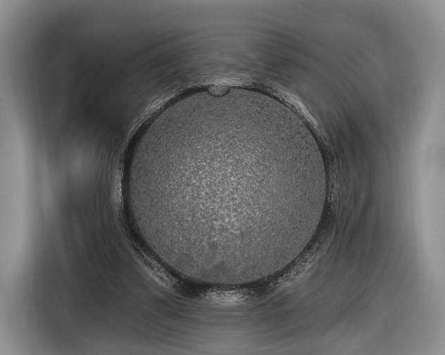 X0000116570299200912171509