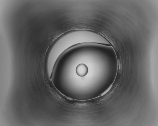 X0000116570301200912171509