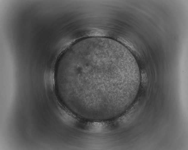 X0000116570302200912171509