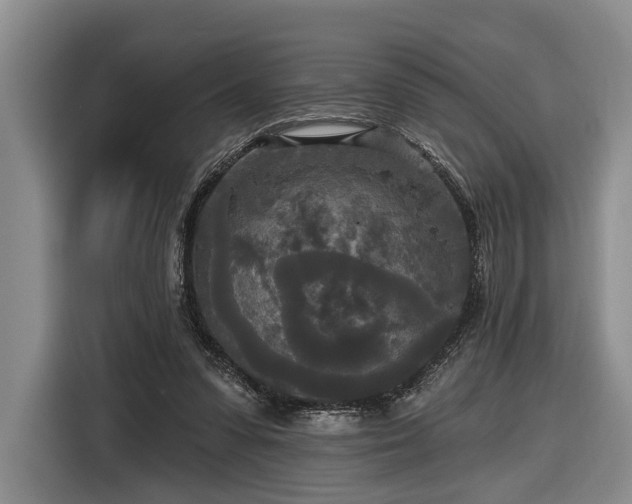 X0000116570303200912171509