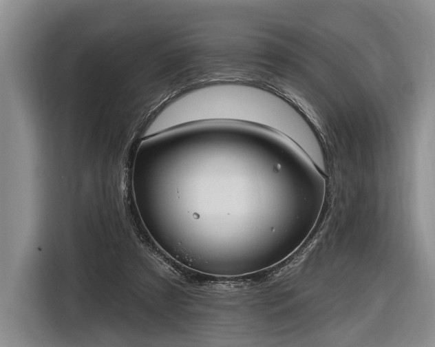 X0000116570305200912171509