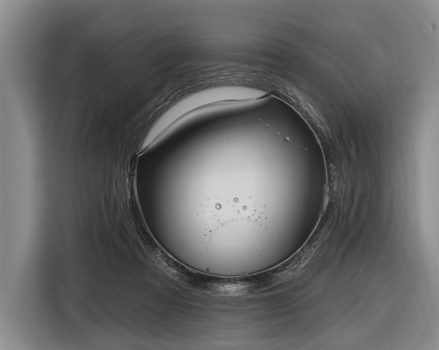 X0000116570313200912171509