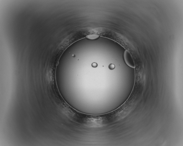 X0000116570317200912171509