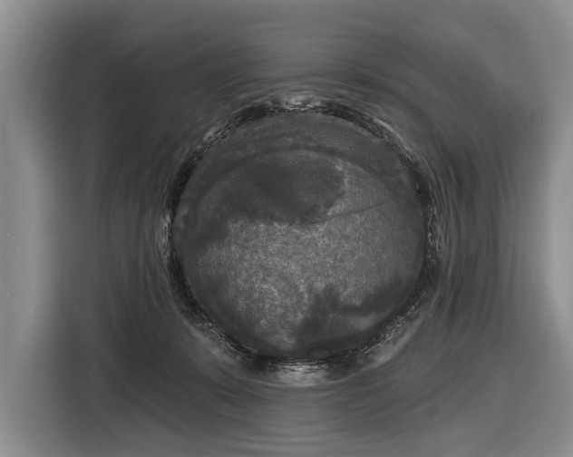 X0000116570319200912171509