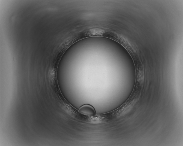 X0000116570321200912171509