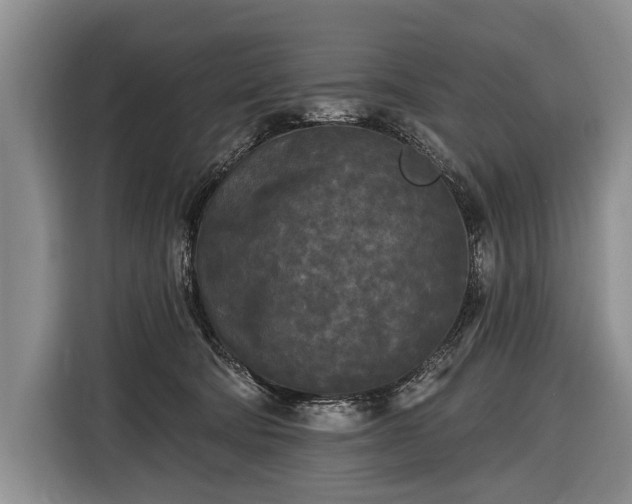 X0000116570322200912171509