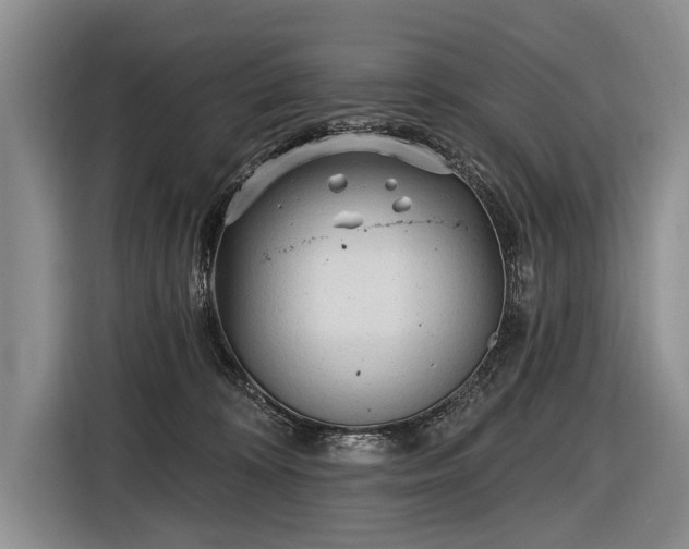 X0000116570324200912171509