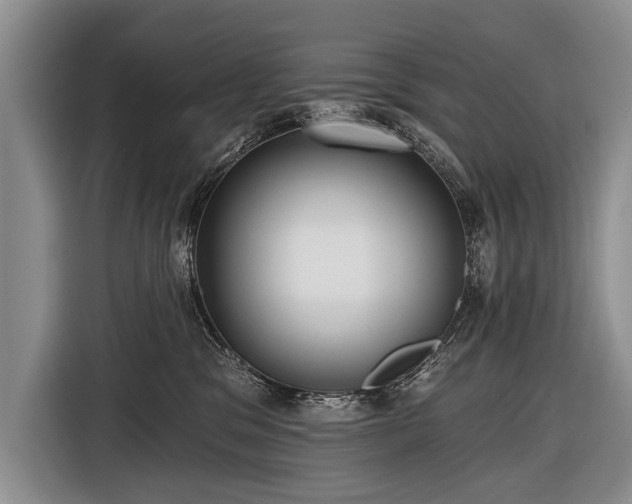 X0000116570329200912171509