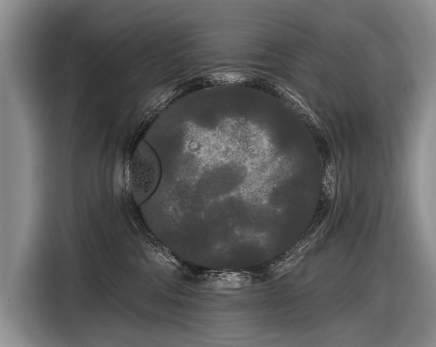 X0000116570330200912171509