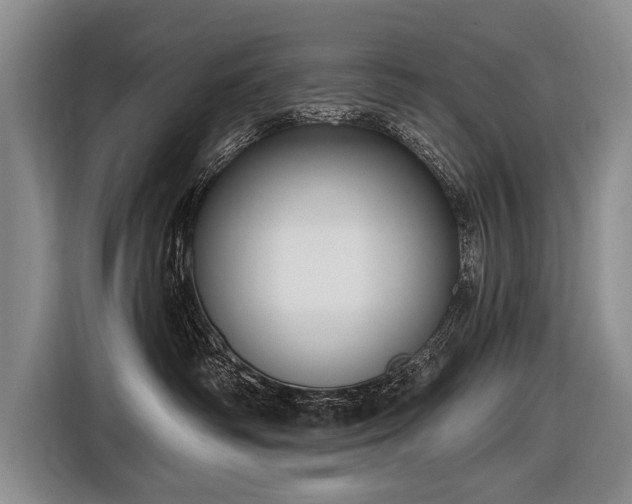 X0000116570334200912171509