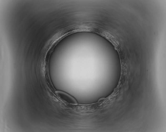 X0000116570338200912171508