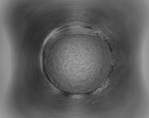 X0000116570341200912171508