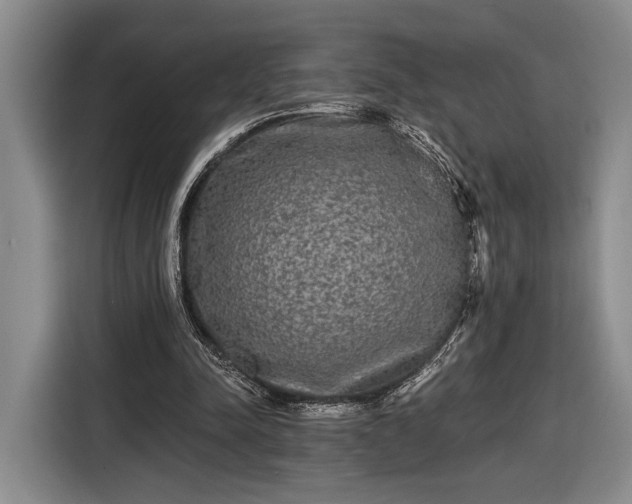 X0000116570342200912171508