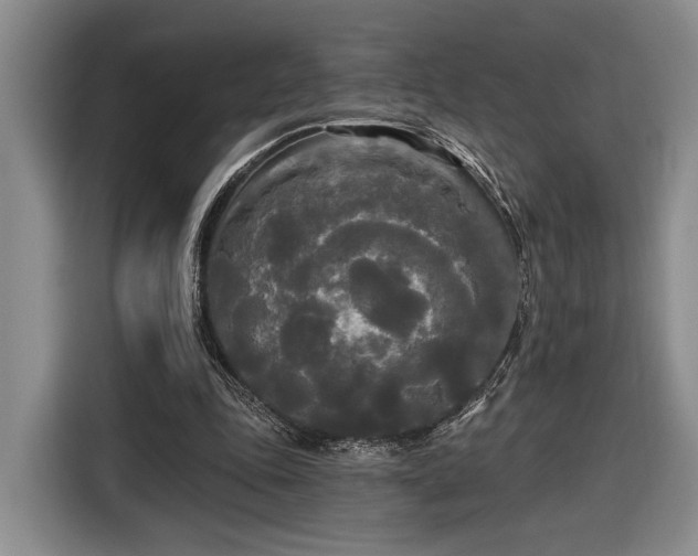 X0000116570343200912171508