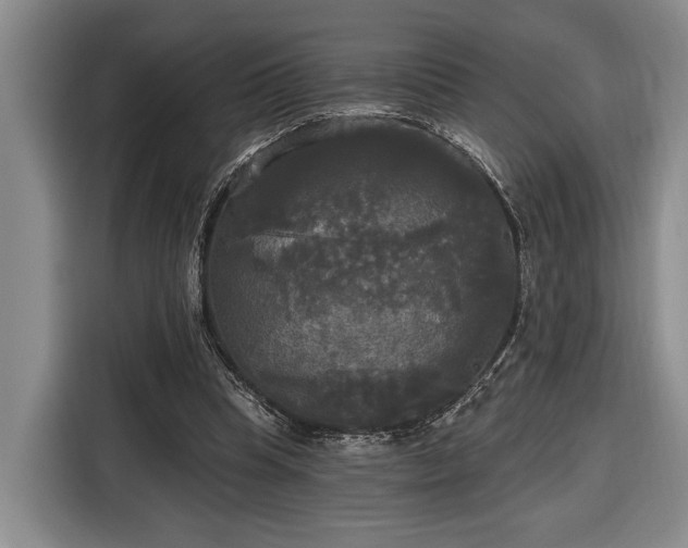 X0000116570345200912171508