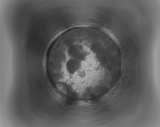 X0000116570346200912171508