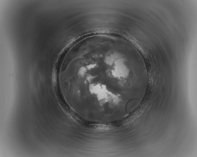 X0000116570347200912171508