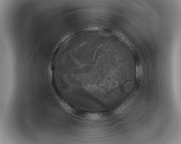 X0000116570349200912171508