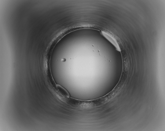 X0000116570350200912171508