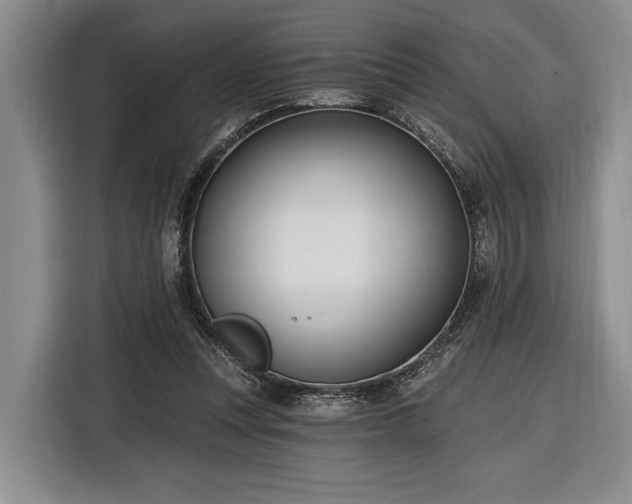 X0000116570351200912171508