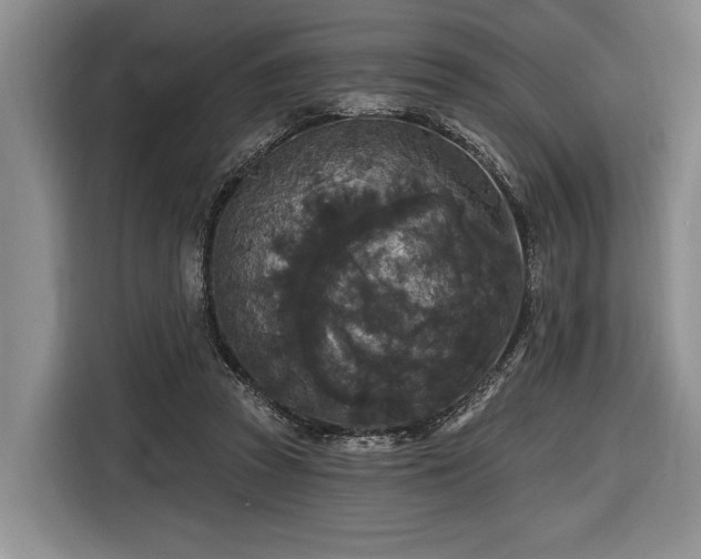 X0000116570353200912171508