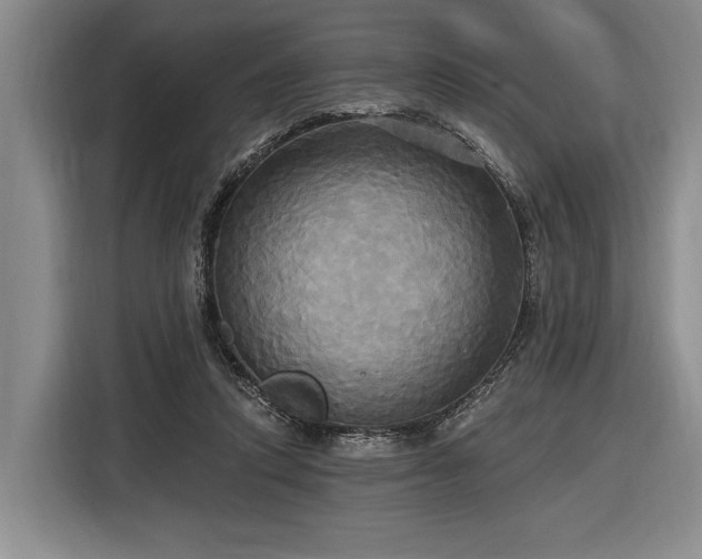 X0000116570354200912171508