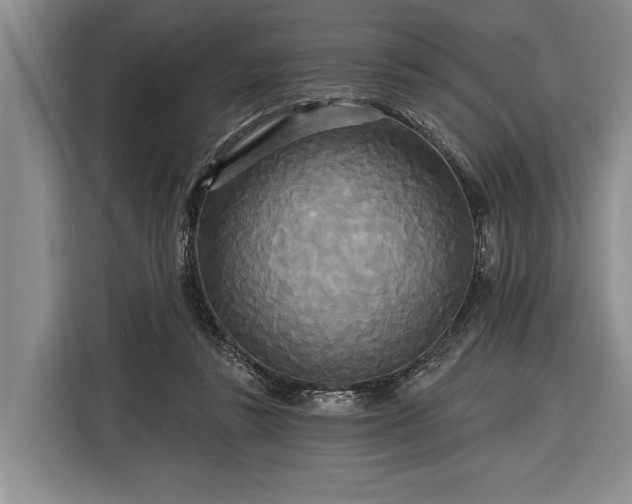 X0000116570355200912171508