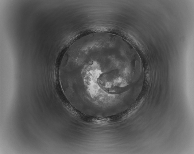 X0000116570359200912171508