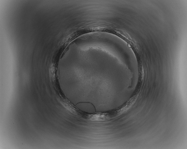 X0000116570366200912171508