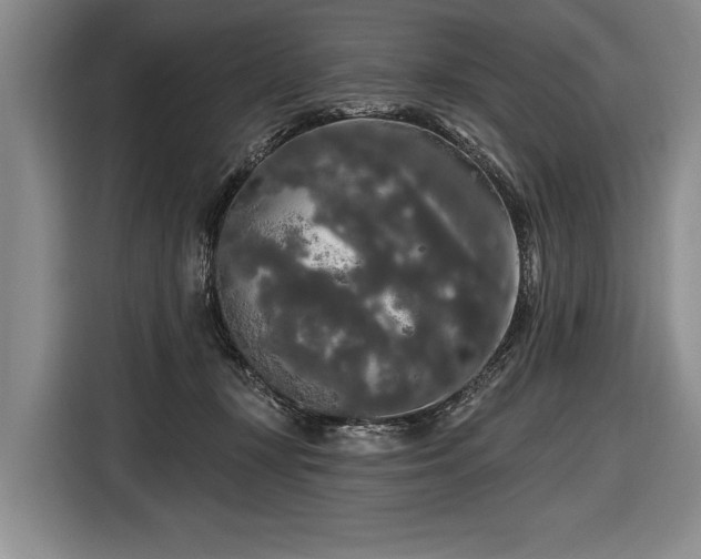 X0000116570367200912171508