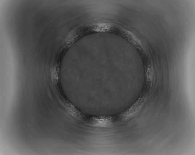 X0000116570370200912171508