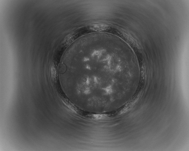 X0000116570371200912171508