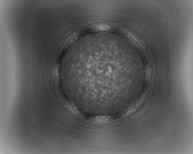 X0000116570373200912171508