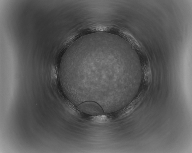 X0000116570374200912171508