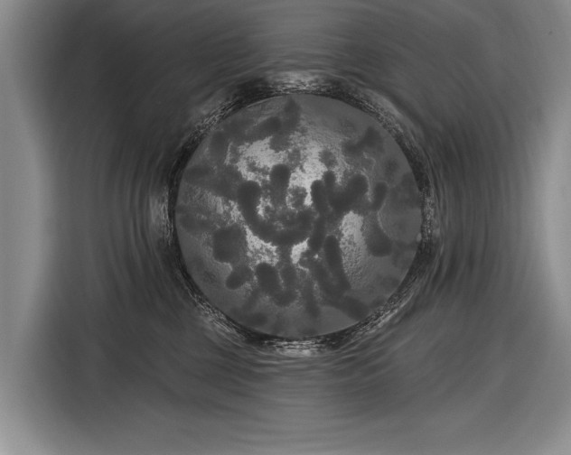 X0000116570377200912171508